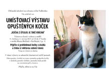 Zvtit letk