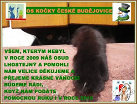 OS Koky esk Budjovice