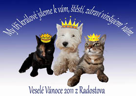 Vesel Vnoce 2011 z Radostova