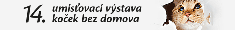 umsovac vstava